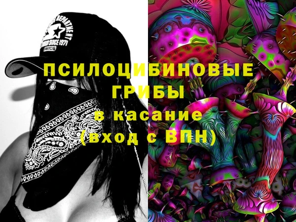 кокс Богородицк